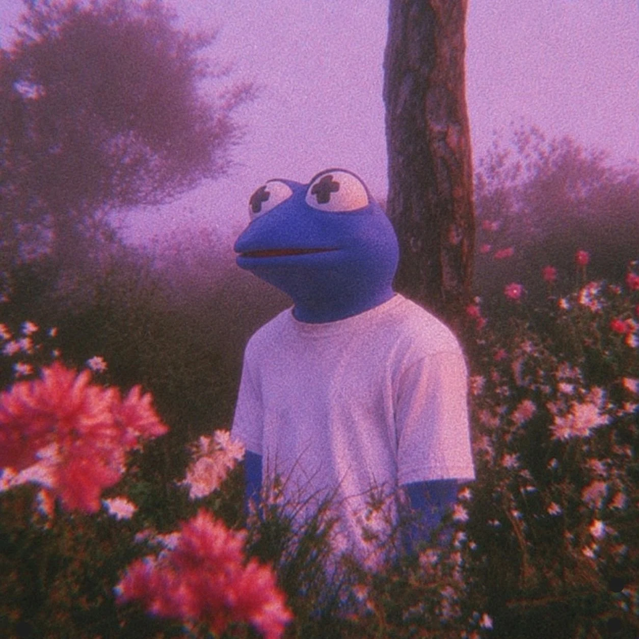 Froggin’s blue frog among pink flowers at sunset